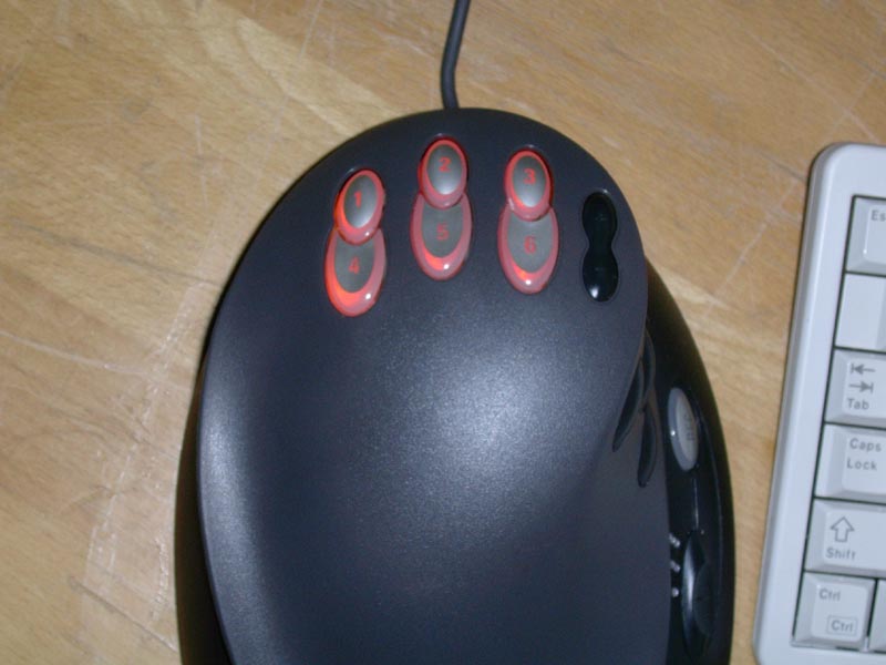 DSCN0313