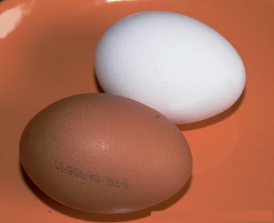 eier2.jpg