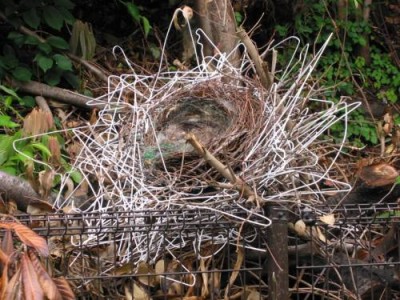 creativity_crows_nest_made_of_clothes_hangers_249.jpg