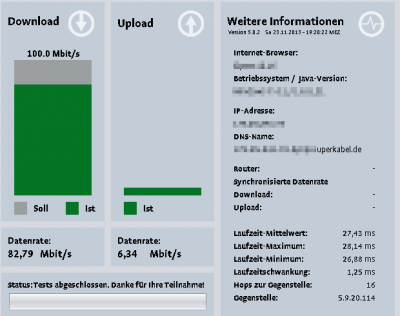 Initiative Netzqualitt_ Breitband-Test - Opera_2013-11-23_19-21-41.png
