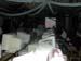 DSCN0251