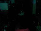 MunLan 239